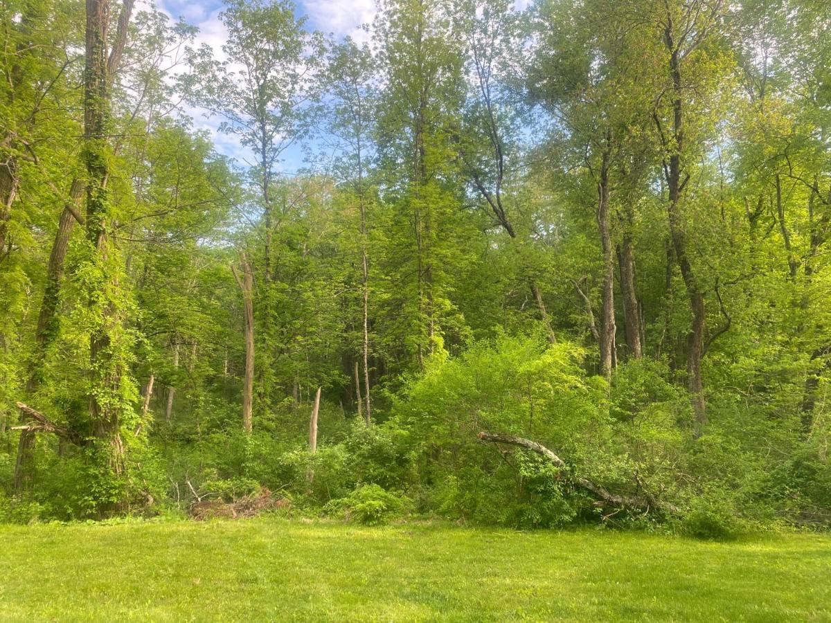 Newly Renovated 3Br Hudson Valley House Ulster Park Экстерьер фото